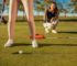 What are the Best Golf Clubs For Ladies